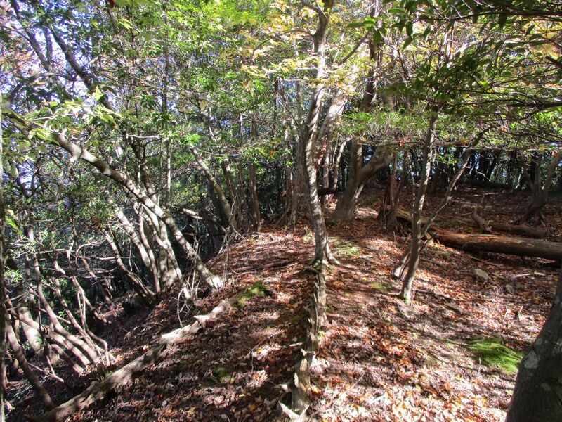 File:Shoubudakejou001.jpg