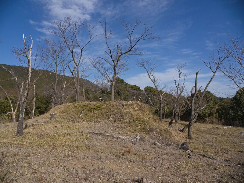 File:Tedori44.jpg