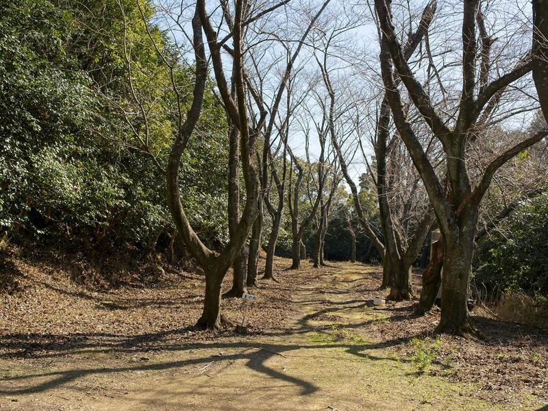 File:Tedori8.jpg
