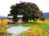 IwadeYakata (1).JPG