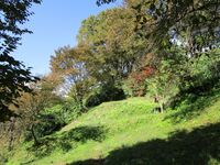 Kaesajou12.1.JPG