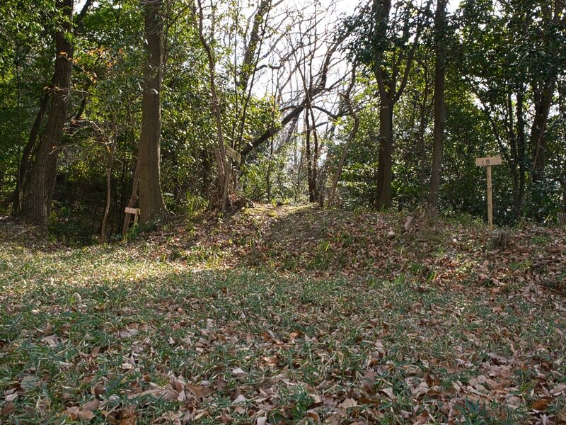File:Kaseyamakyoto32.jpg