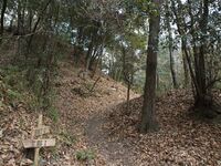 Kaseyamakyoto64.jpg