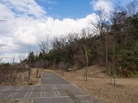 Kizukyoto4.jpg