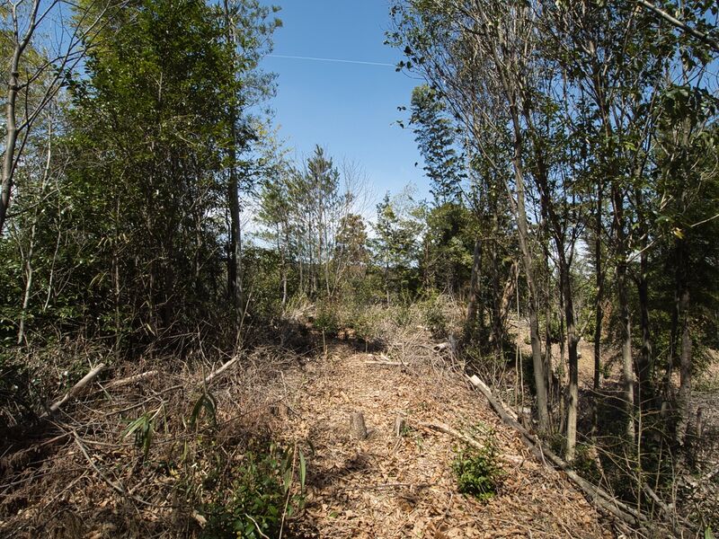 File:Kokashimoyama14.jpg