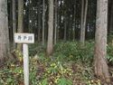 Tagaya5.jpg