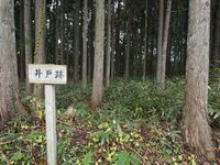 Tagaya5.jpg