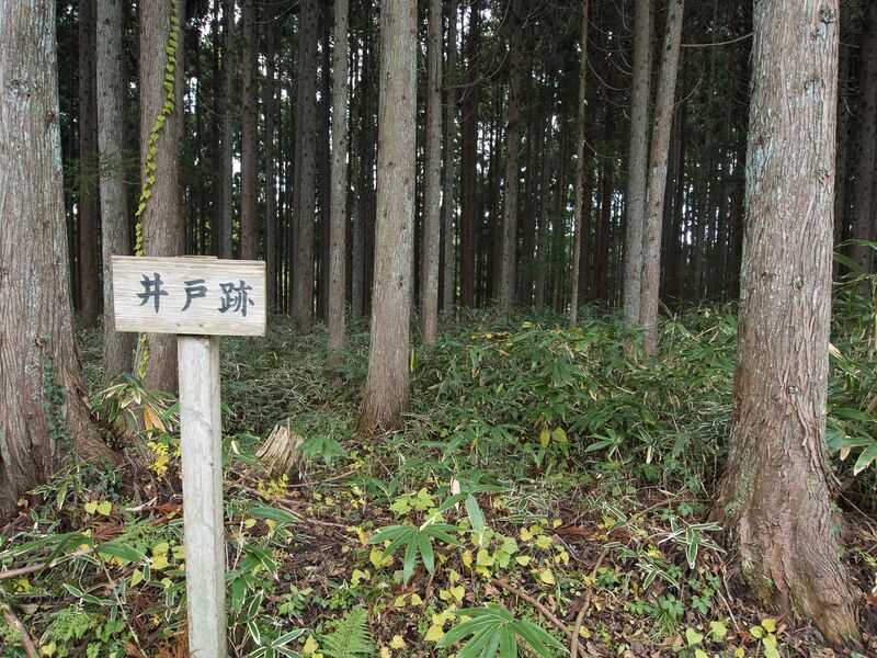 File:Tagaya5.jpg