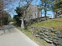 Tokushima16.jpg