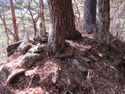 TsukikanekuboToride (7).JPG