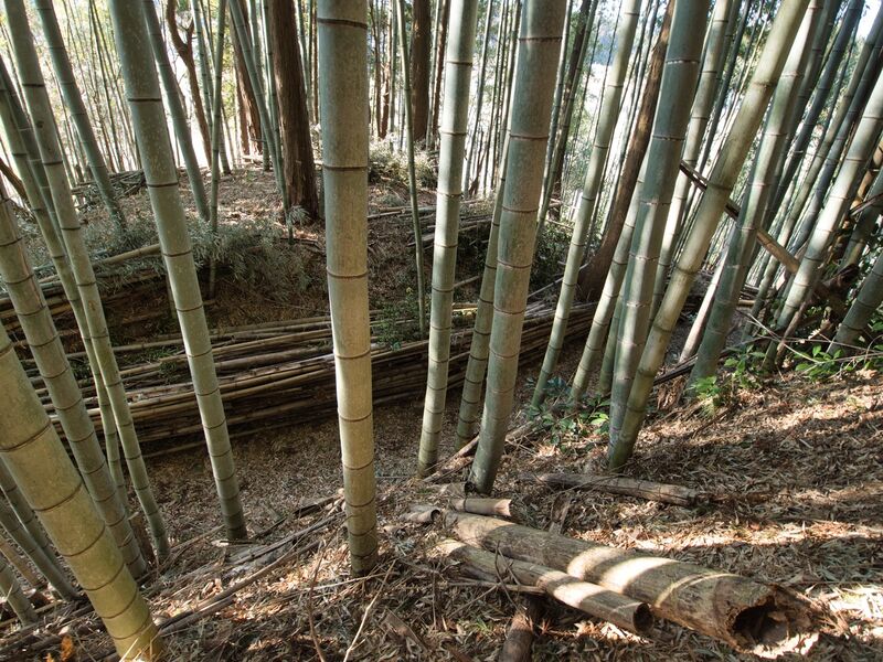 File:Uchikoshikoka14.jpg