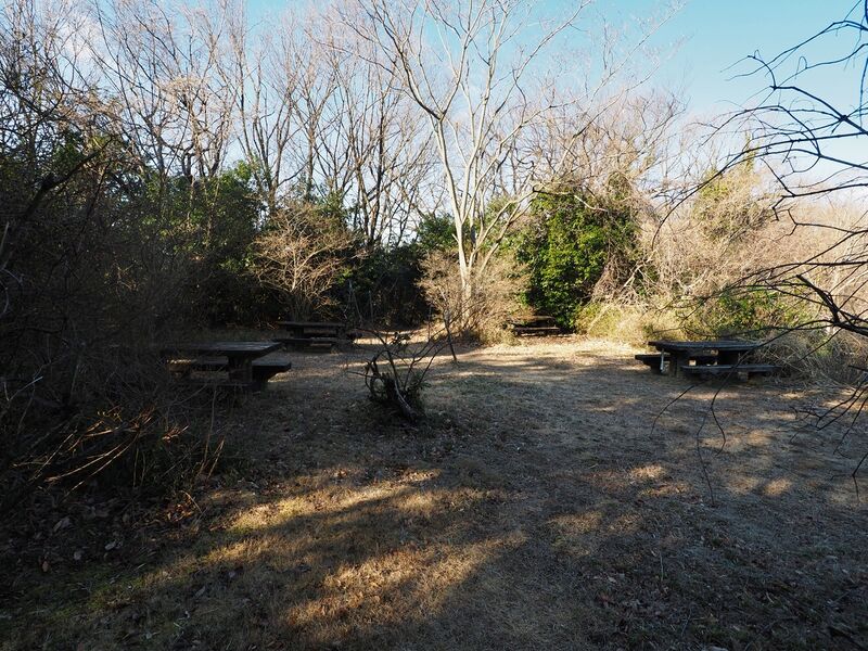 File:Yamana14.jpg