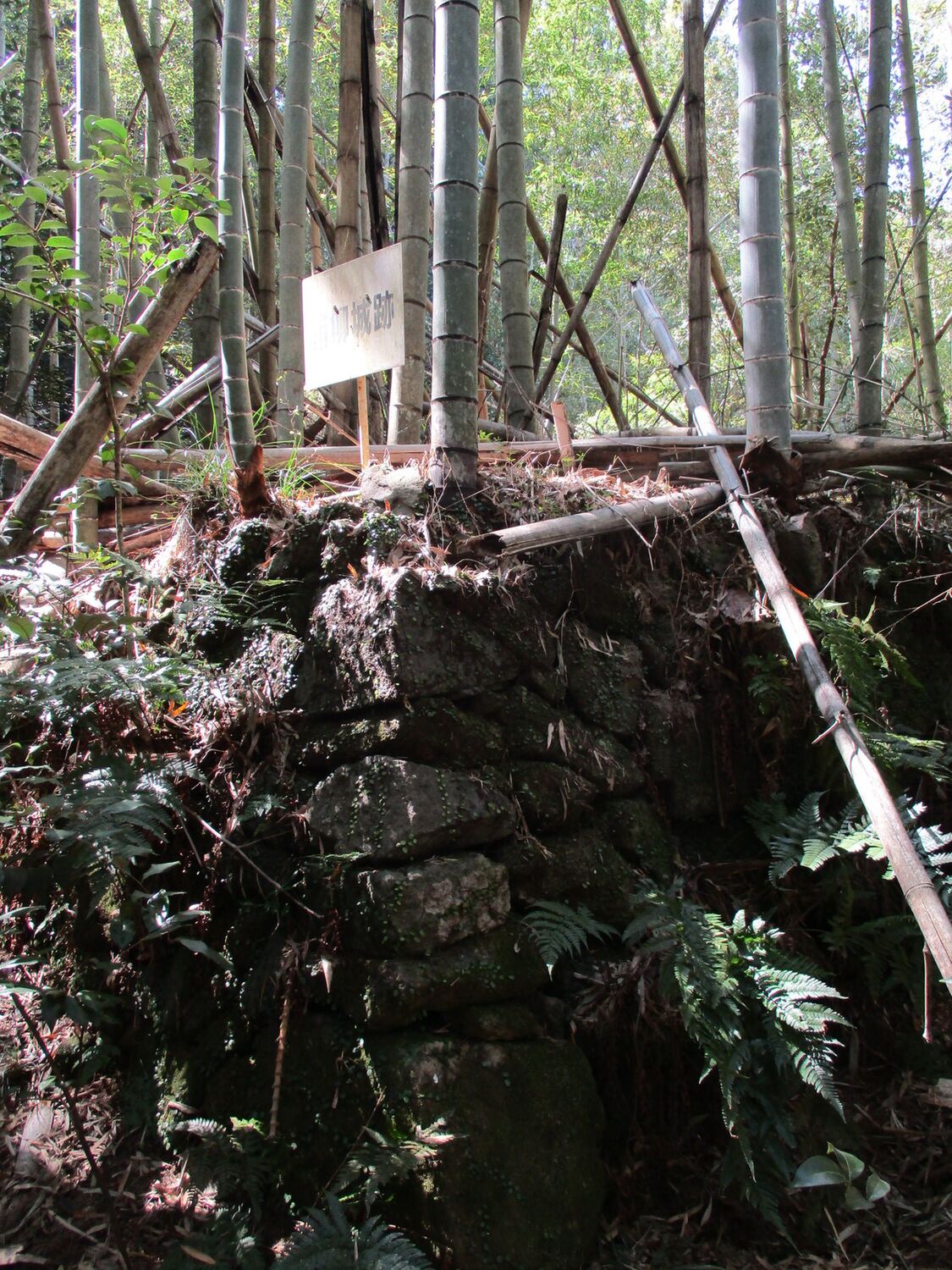 Hakoyanagijou (6).JPG