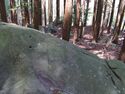 Heda quarry29.jpg