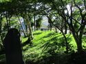 Kakegawakojou (2).JPG