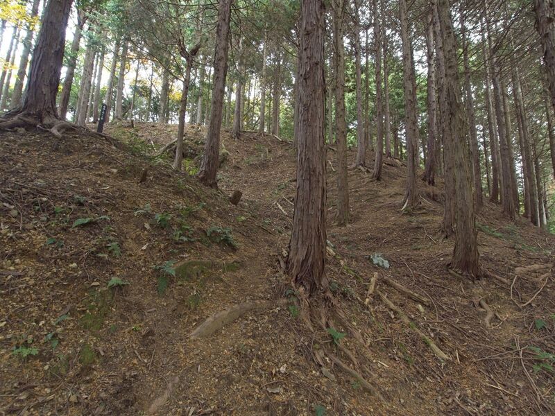 File:Kamaha61.jpg