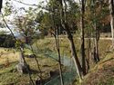 Odawara sogamae57.jpg