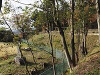 Odawara sogamae57.jpg