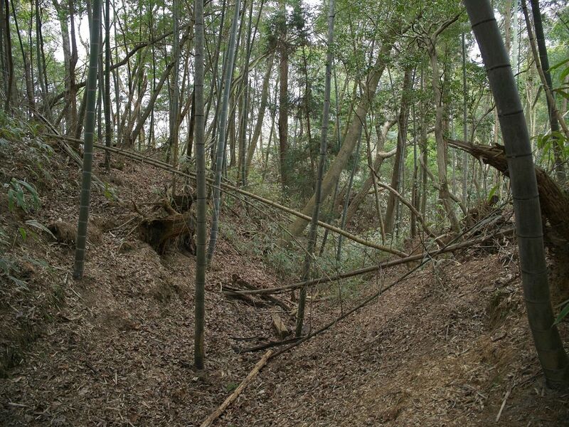 File:Ogawanishinokoka22.jpg