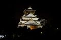 Osaka night4.jpg