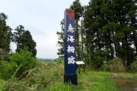 Tonomi1.jpg