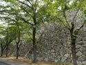 Tsuyama16.jpg