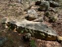 Usami nakoyama quarry15.jpg