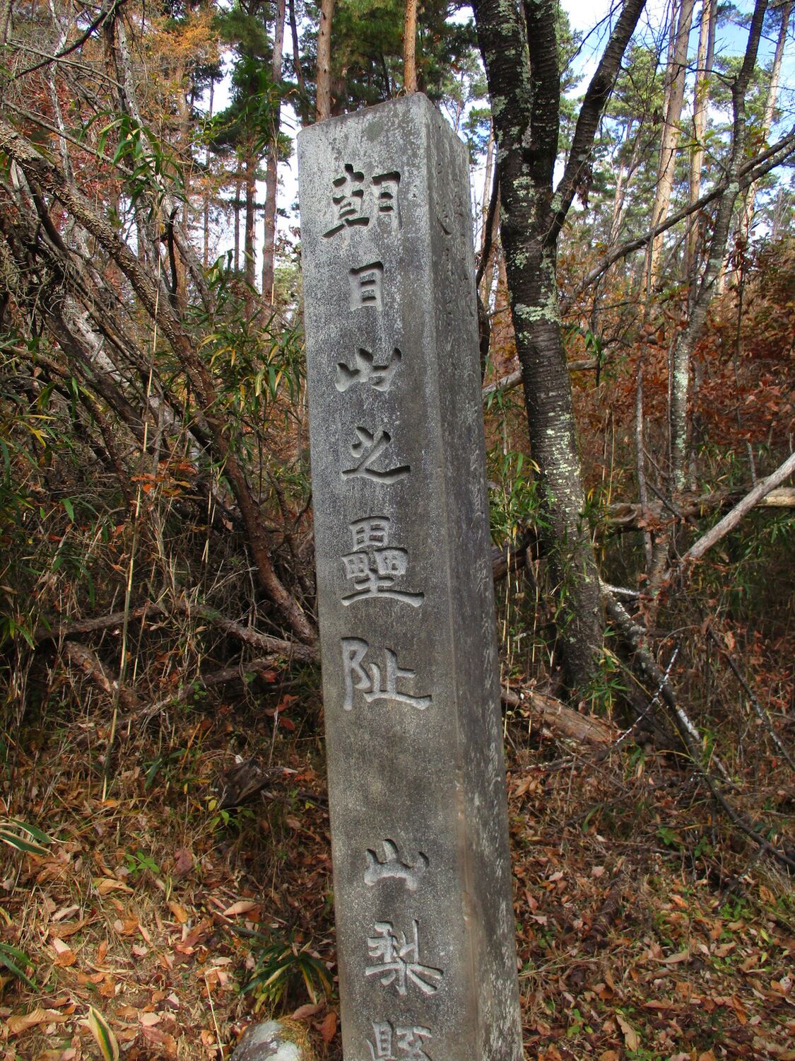 KaiAsahiyamajou (7).JPG