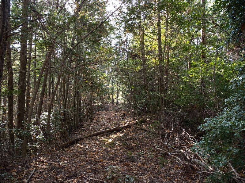 File:Kannosankyoto37.jpg