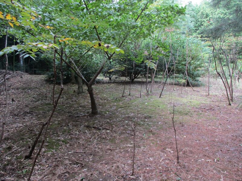 File:MikawaOhsawajou007.jpg