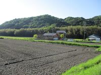 MikawaOijou (1).jpg