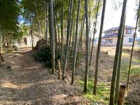 MikawaOkajouGlenn (3).jpg