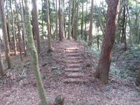 MinamiSakaidejou (3).JPG
