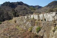 Ojima25.jpg
