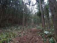 Shigiyama26.jpg