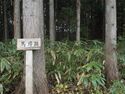 Tagaya6.jpg