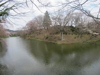 Tanagura10.jpg
