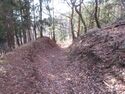 諏訪下城05.JPG