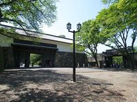 Edo70.jpg