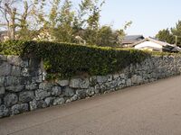 Hagiwalls14.jpg