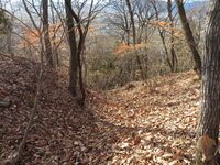 HanishinaTeraojou (1).JPG