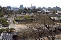 Matsuyama62.jpg