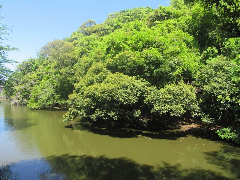 File:Ohkusa4.jpg