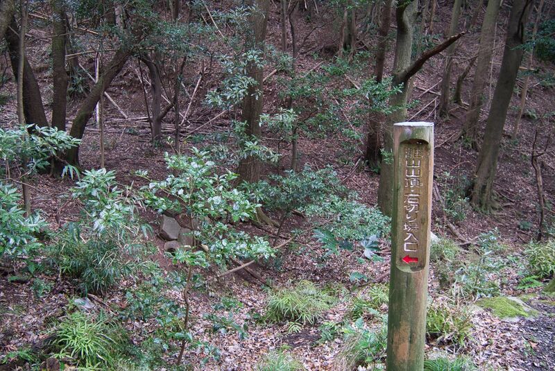 File:Usami hanareyama1.jpg