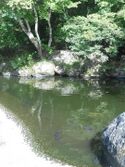 AidzuKarouYashiki012.jpg