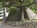 Fukui11.jpg