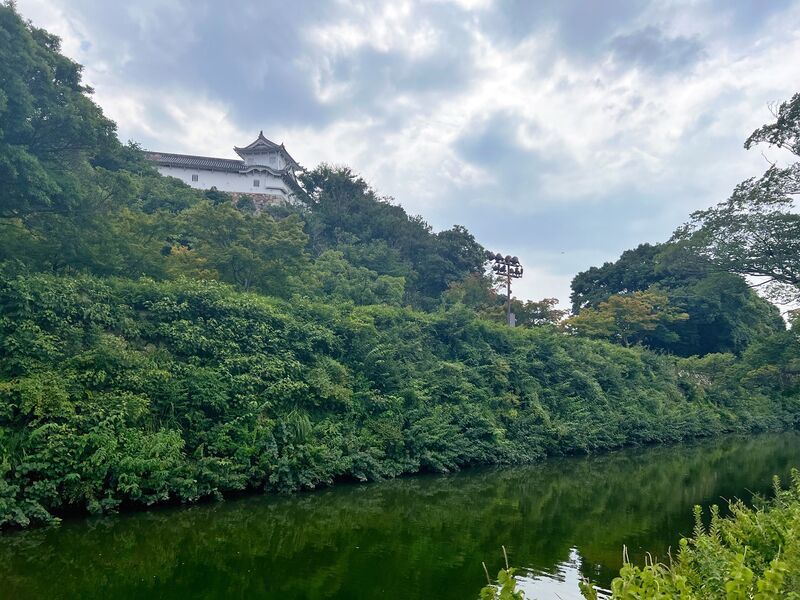 File:Himejimiddlemoat42.jpg