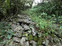 Komesu Castle Ray 3.jpg