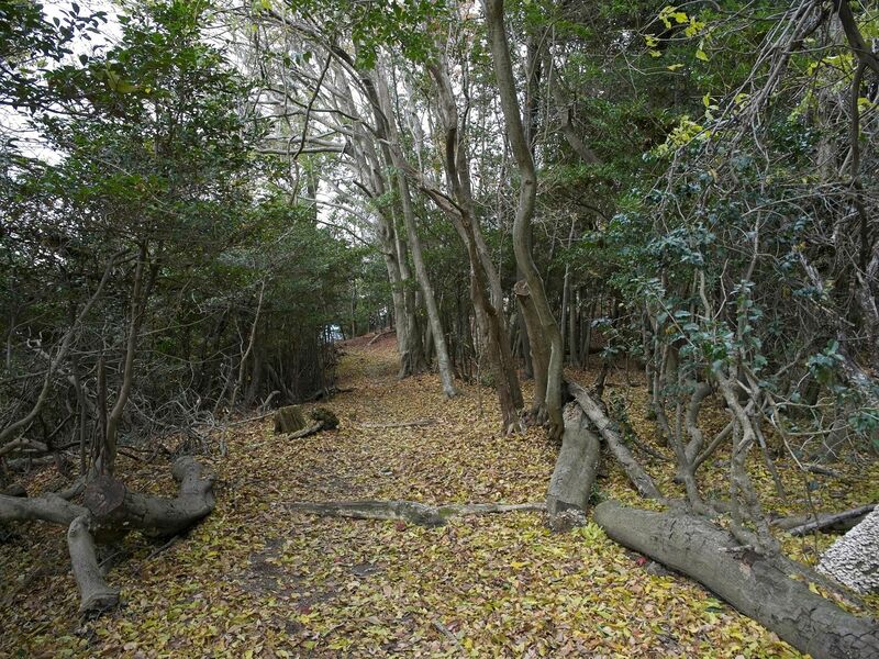 File:Nakaokyoto26.jpg