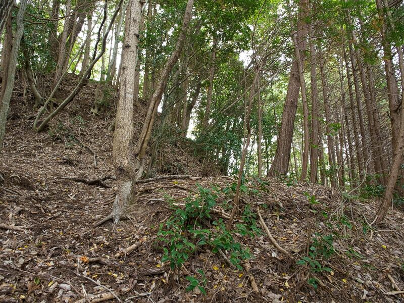 File:Okudanitanba21.jpg